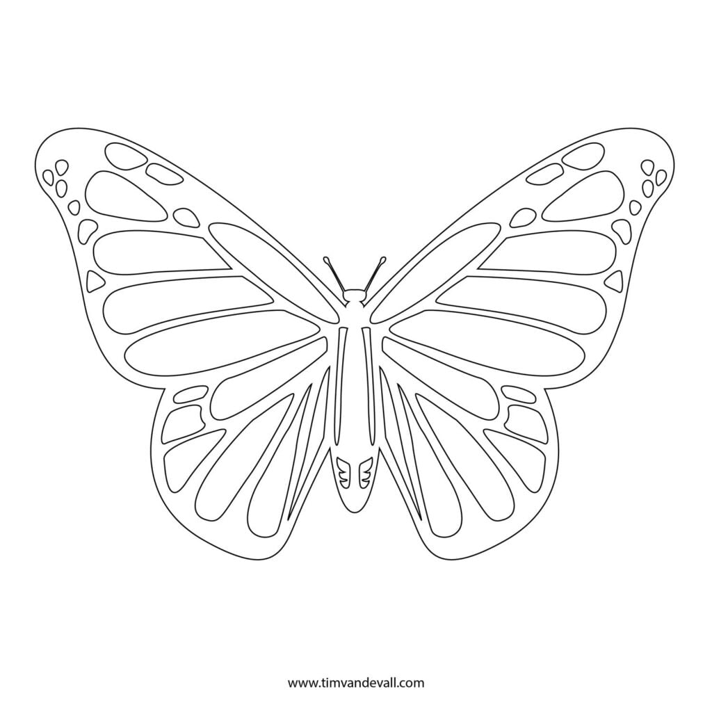 HugeDomains In 2022 Butterfly Stencil Butterfly Outline Butterfly Coloring Page