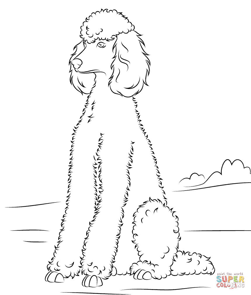 Poodle Coloring Page Free Printable Coloring Pages