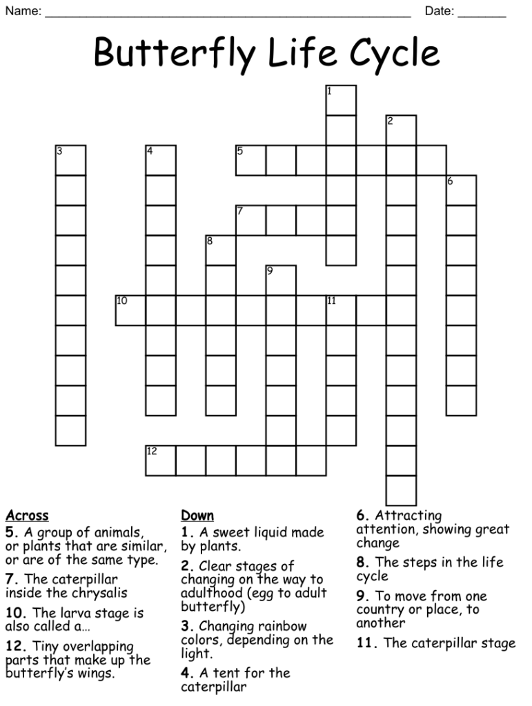 Butterfly Life Cycle Crossword WordMint
