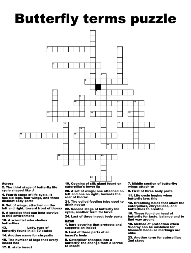 Butterfly Terms Puzzle Crossword WordMint