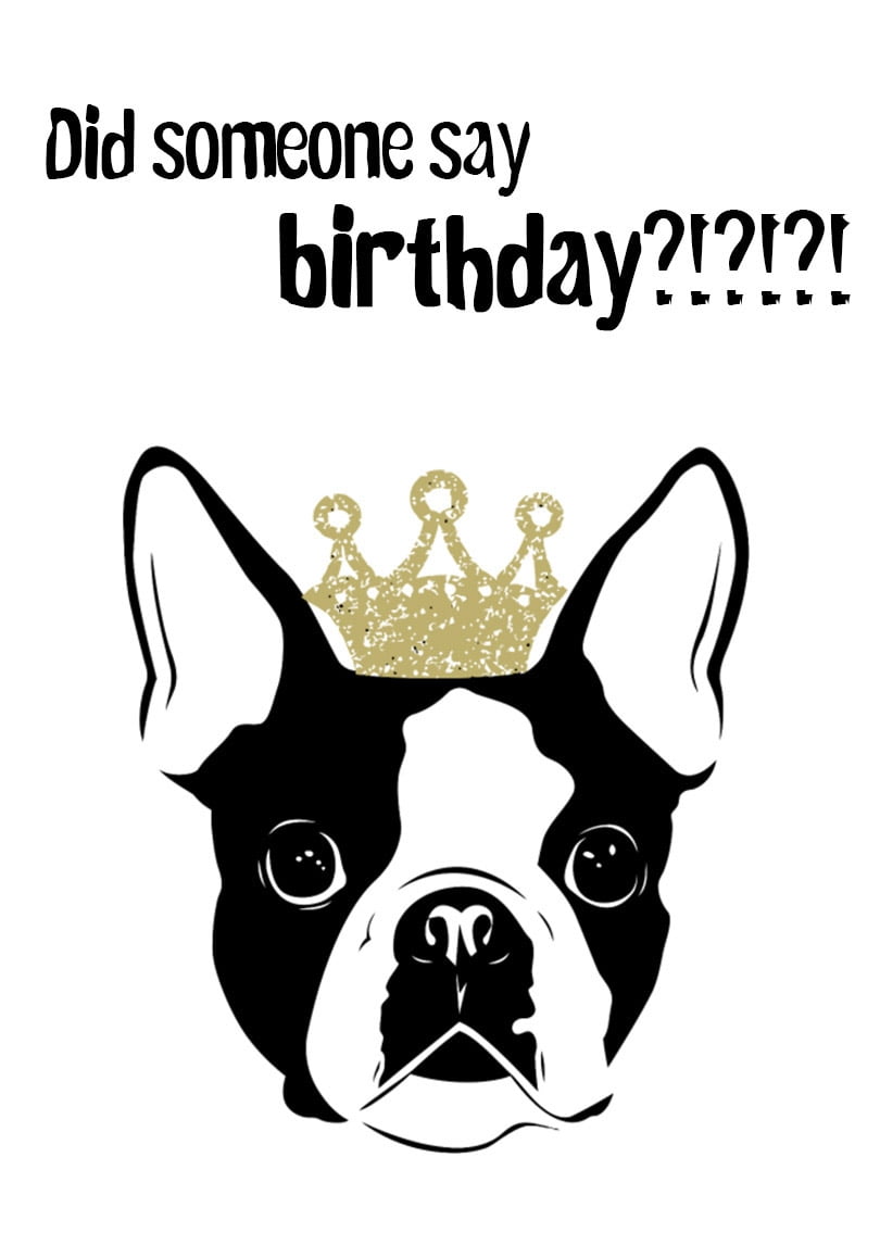 Printable Birthday Cards Dogs Printable Lab