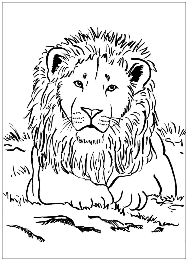 lion coloring pages for toddlers