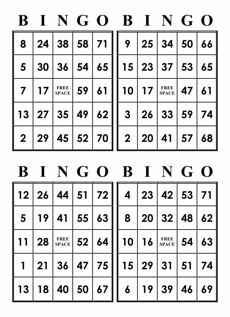 Printable Bingo Card Set