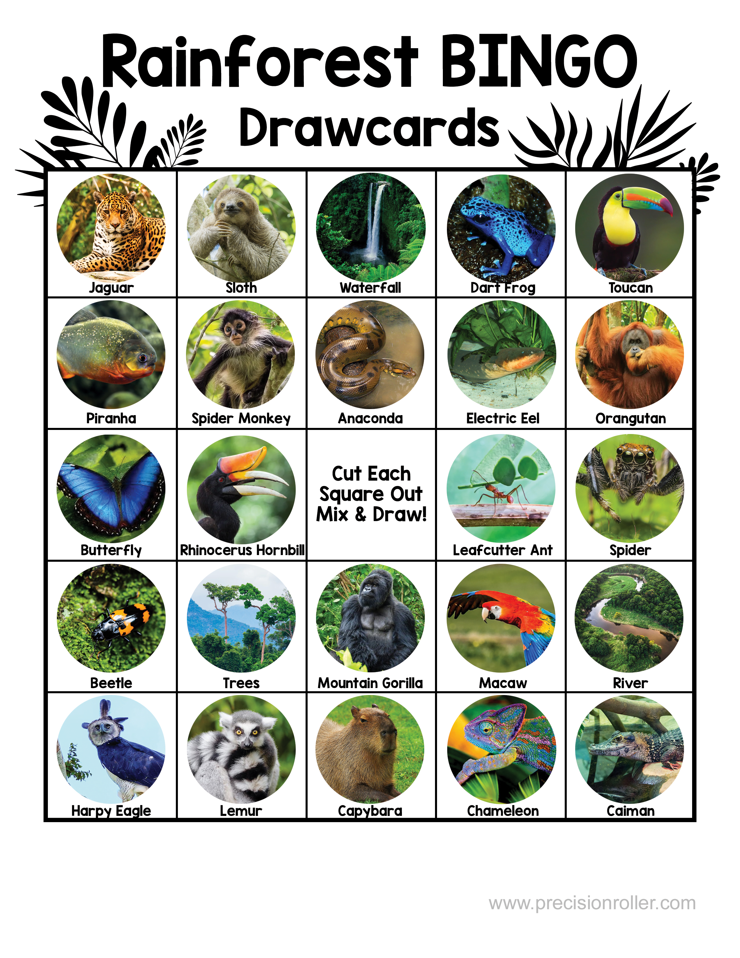 Jungle Bingo Cards Printable