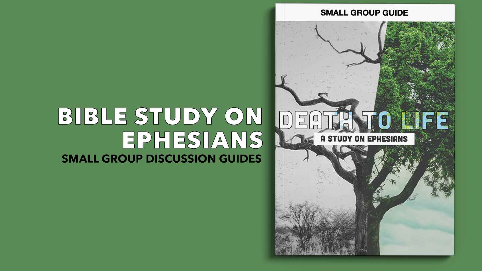 free printable bible study on ephesians