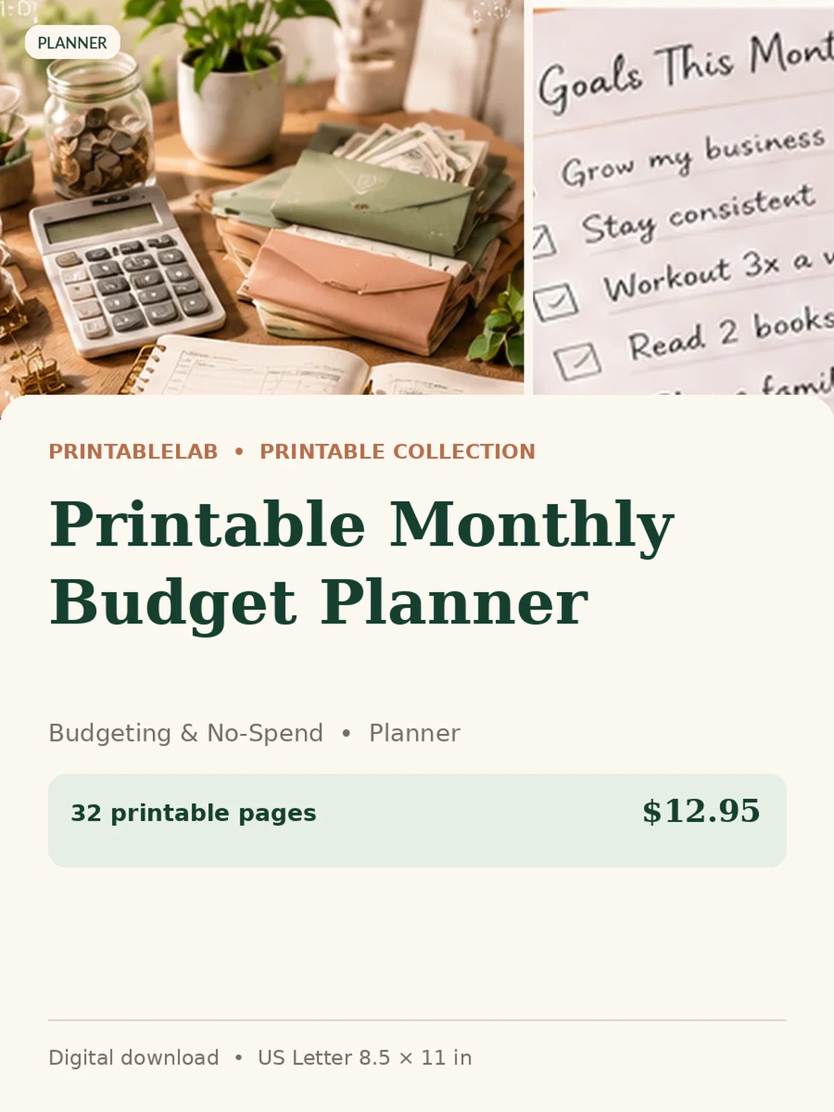 Printable Monthly Budget Planner preview 1