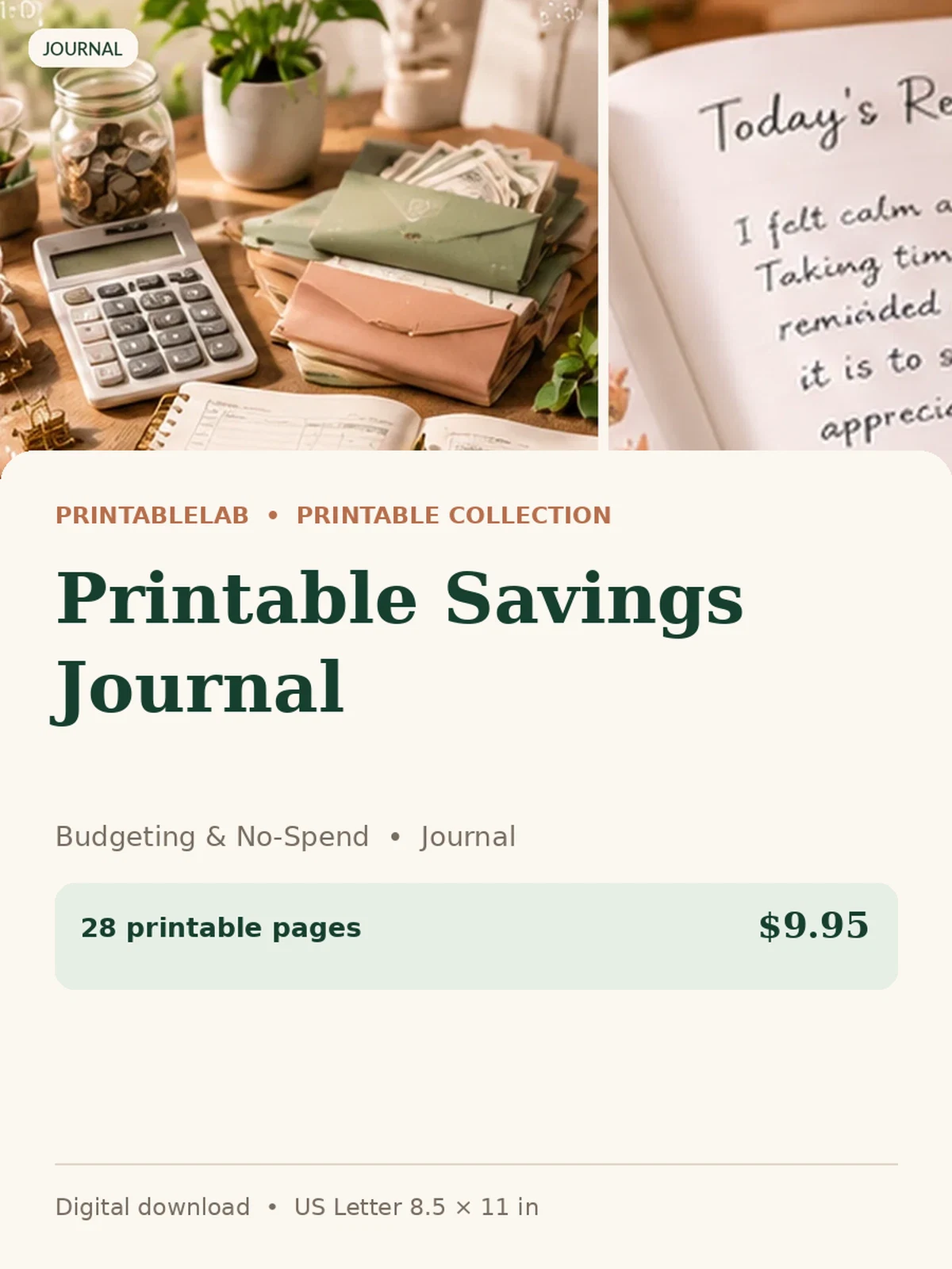 Printable Savings Journal preview 1