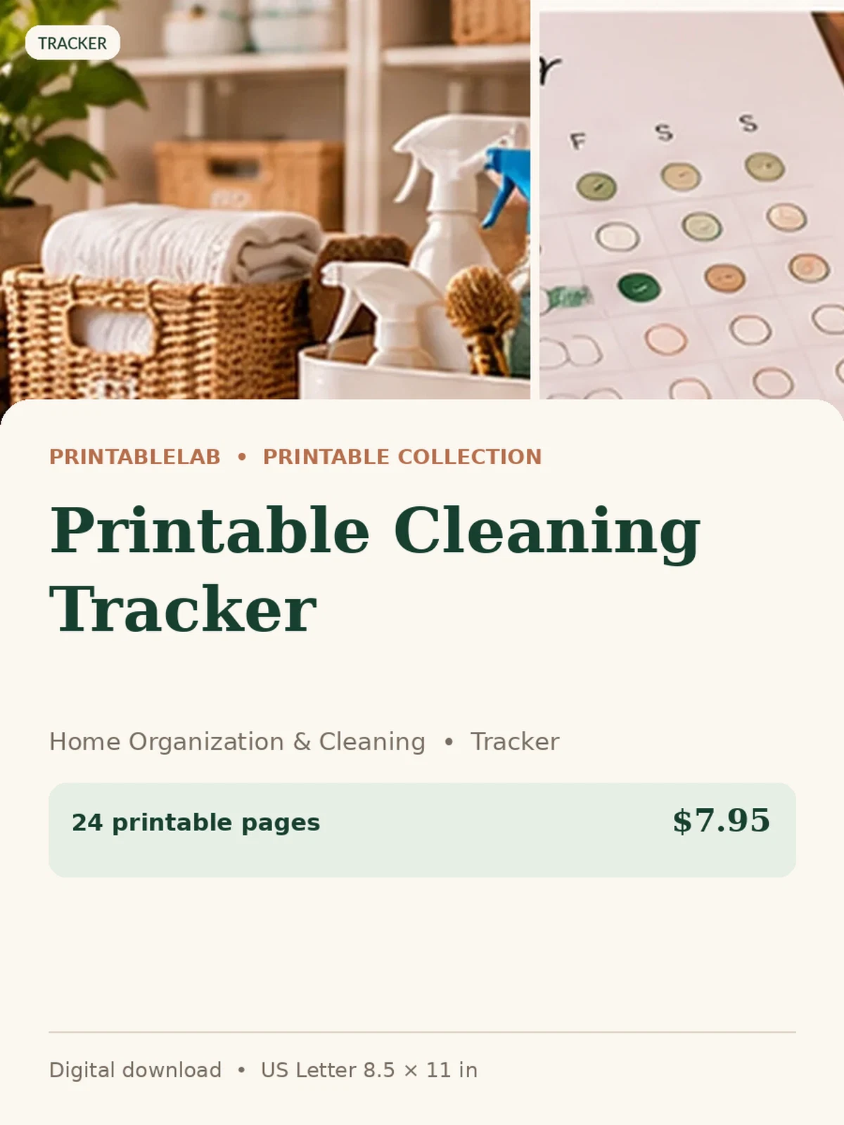 Printable Cleaning Tracker preview 1