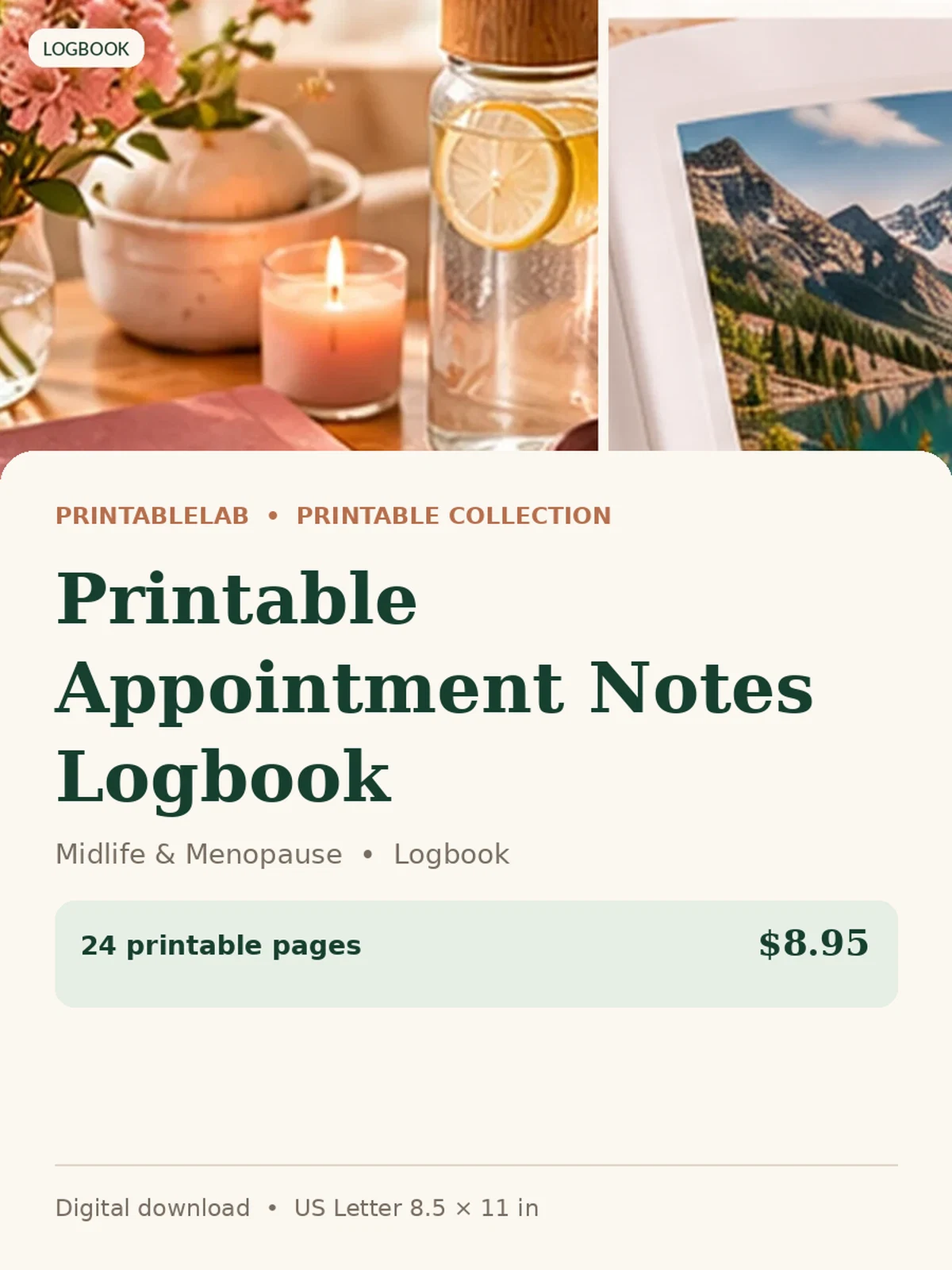 Printable Appointment Notes Logbook preview 1