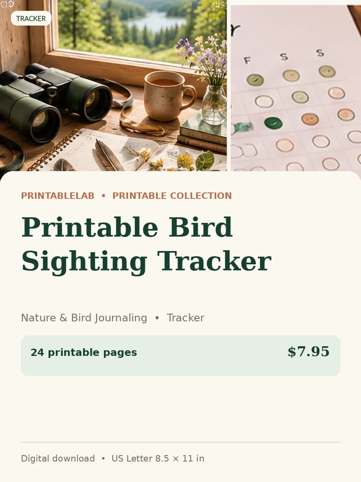 Printable Bird Sighting Tracker preview 1