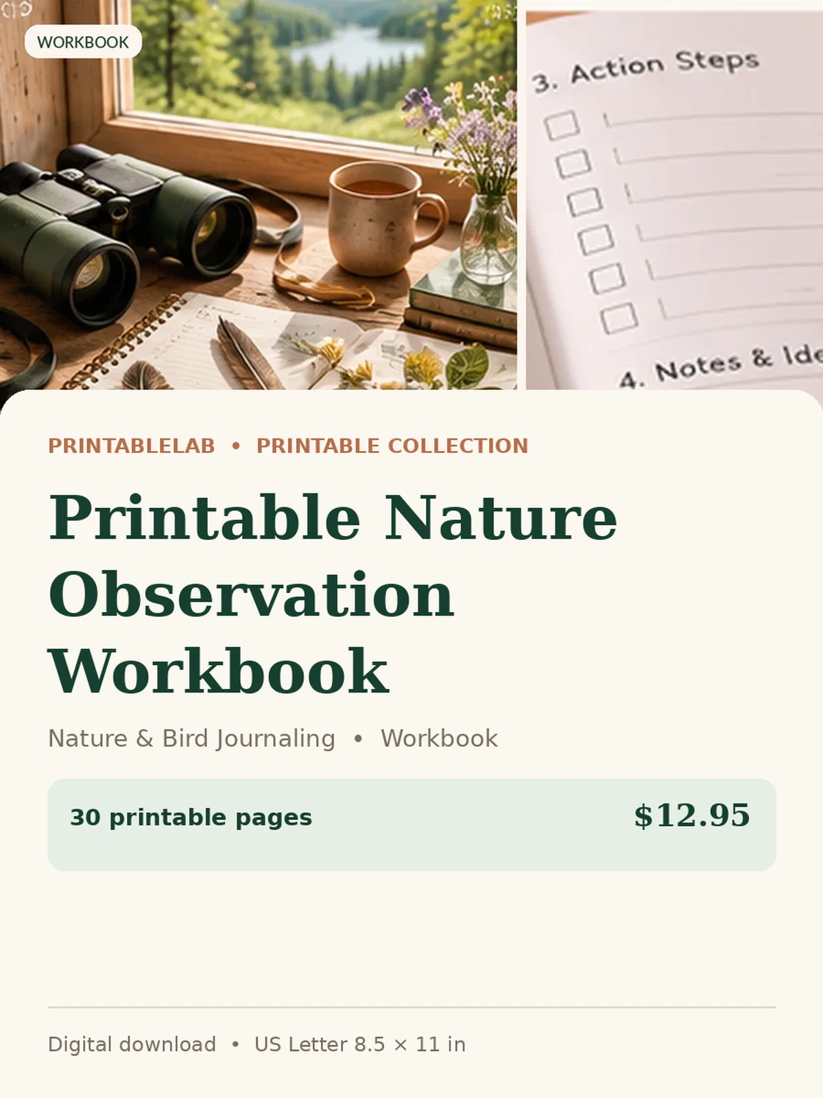 Printable Nature Observation Workbook preview 1