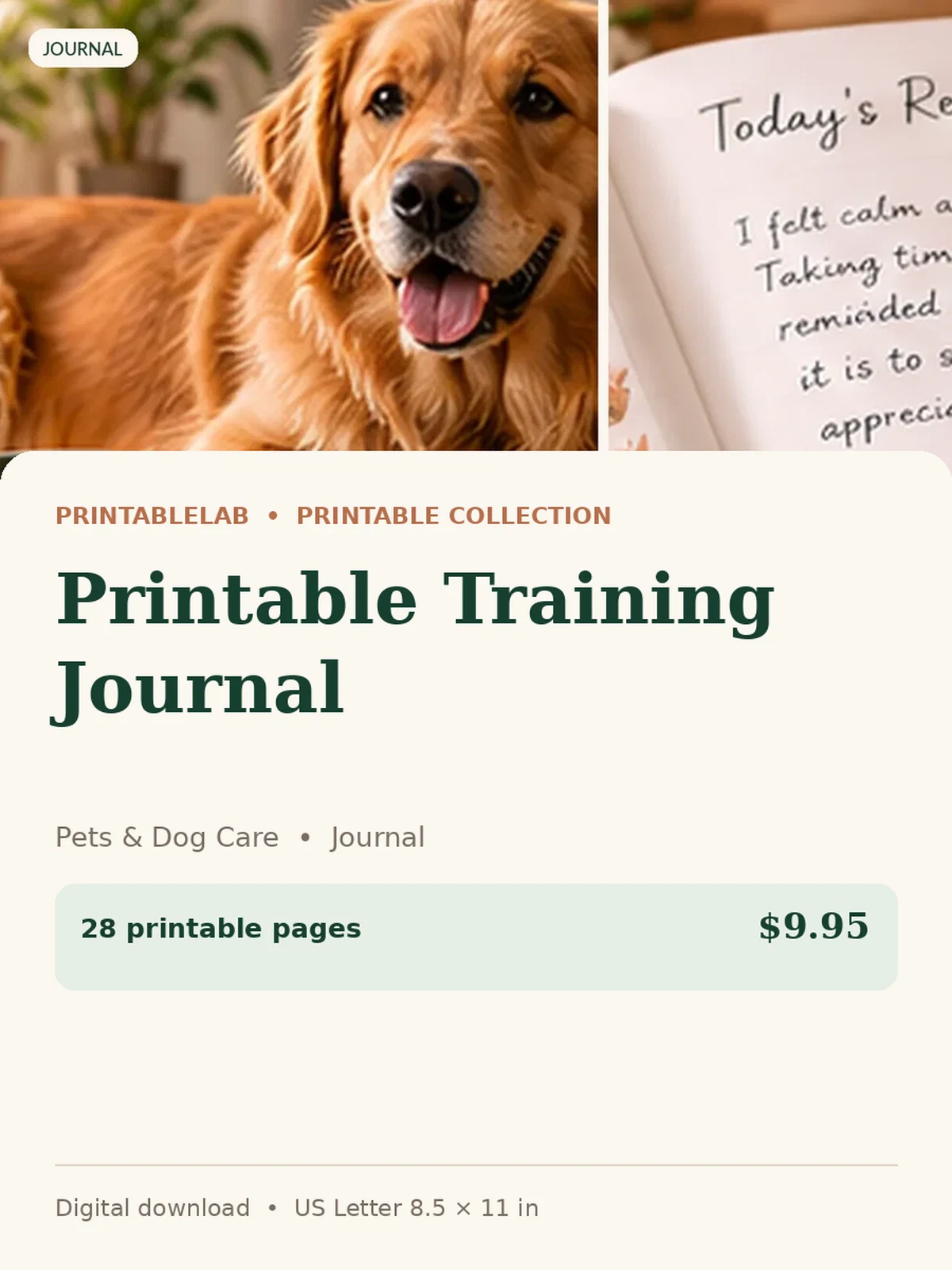 Printable Training Journal preview 1