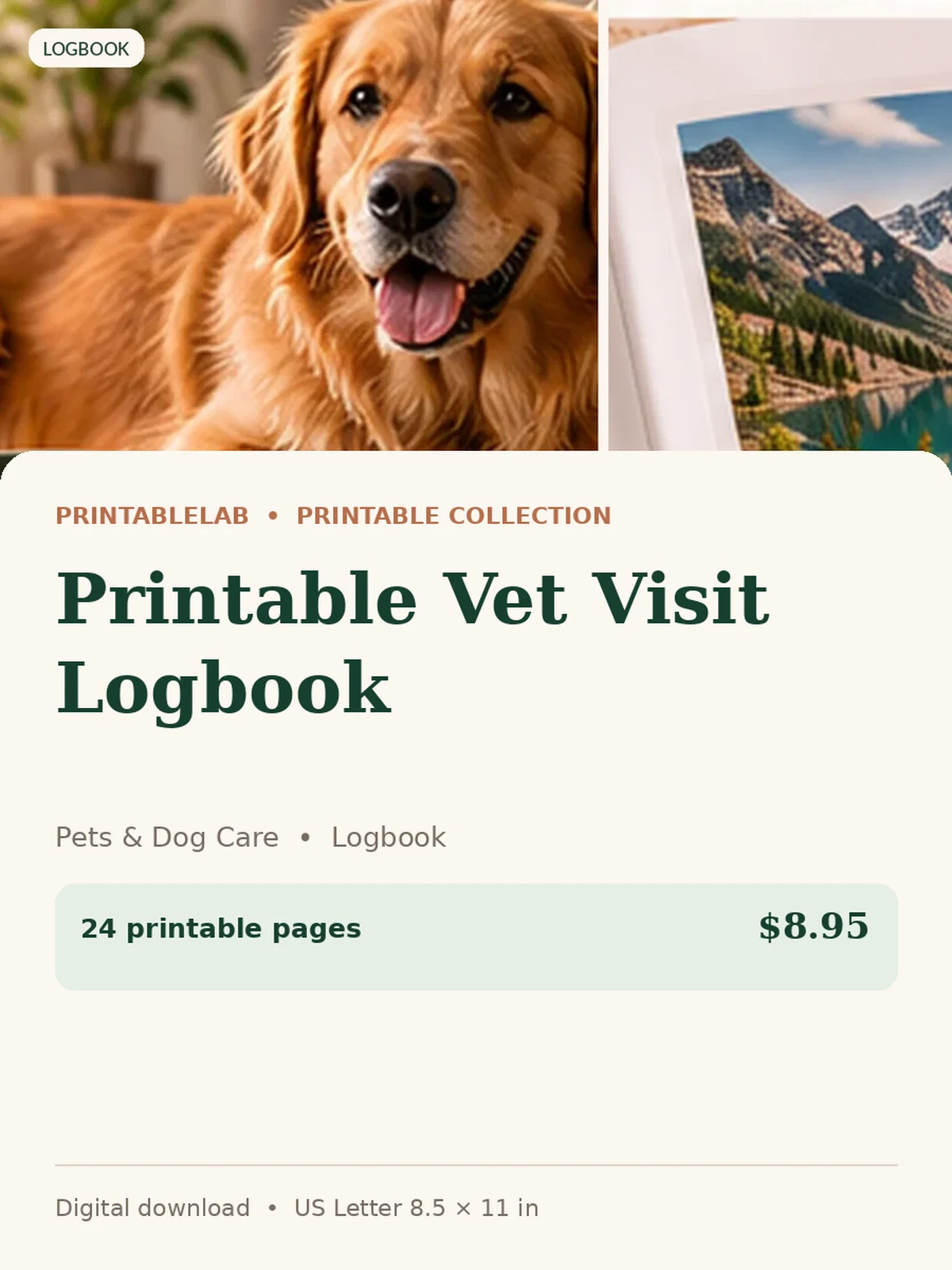 Printable Vet Visit Logbook preview 1