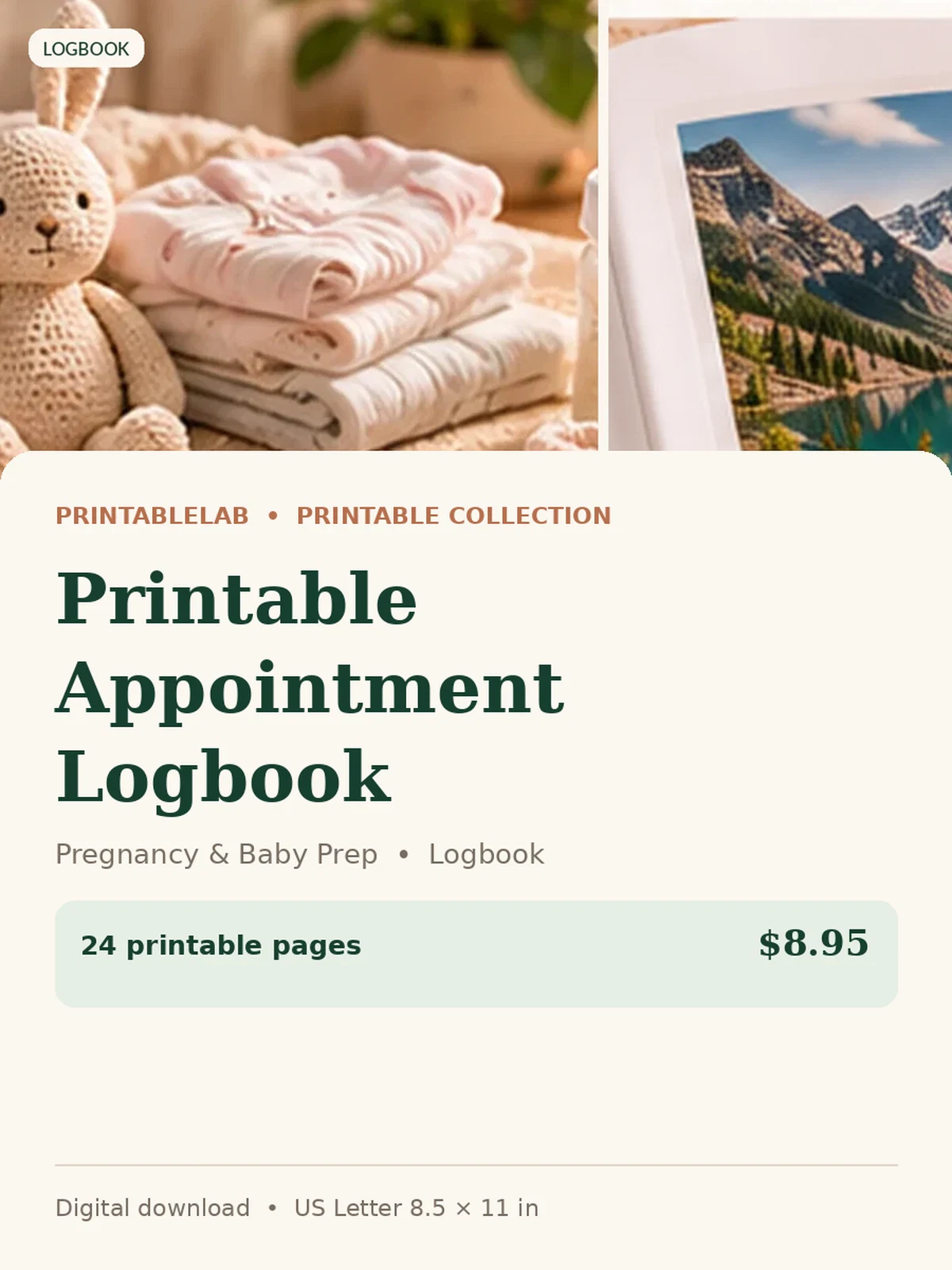 Printable Appointment Logbook preview 1