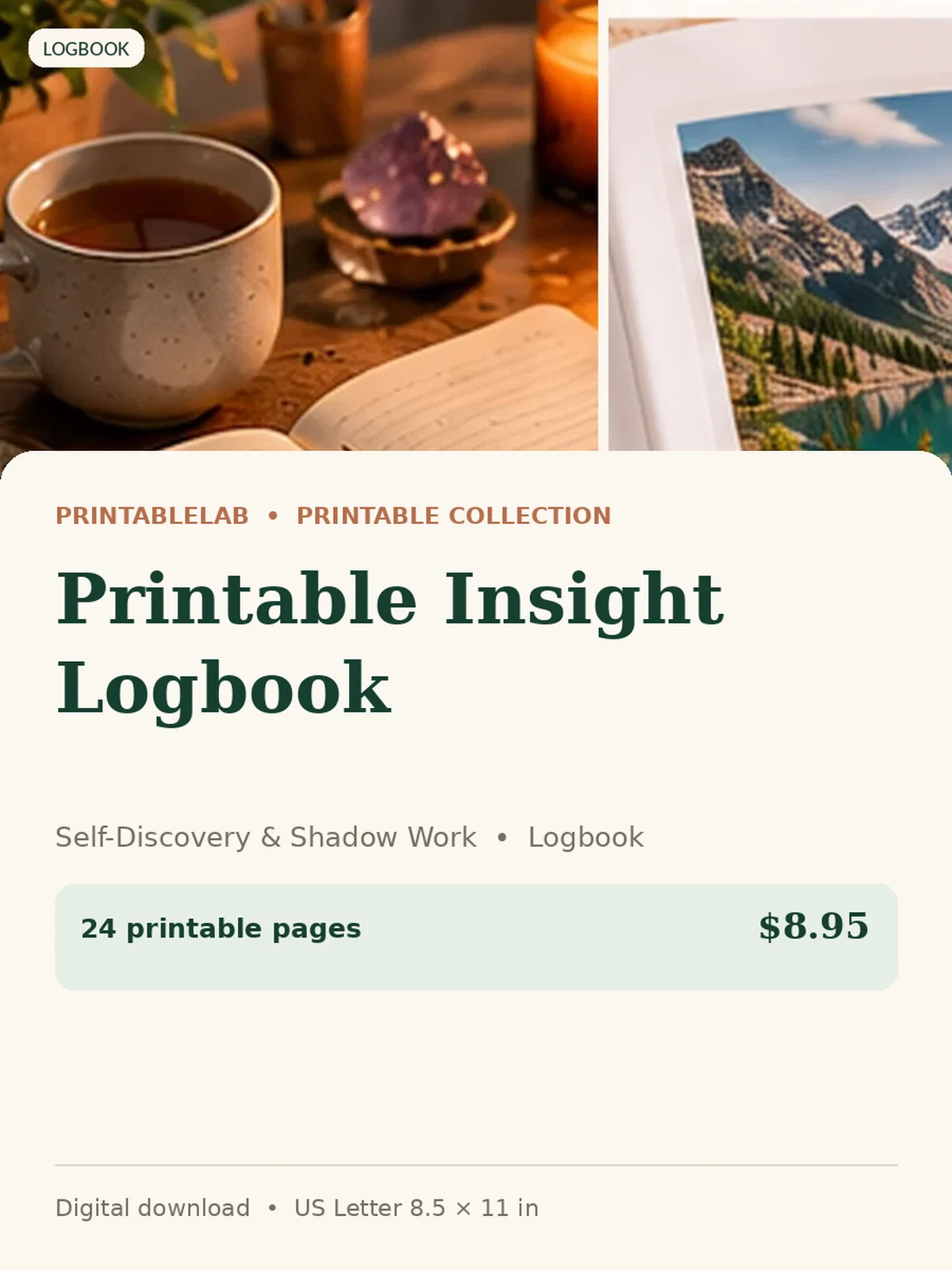 Printable Insight Logbook preview 1
