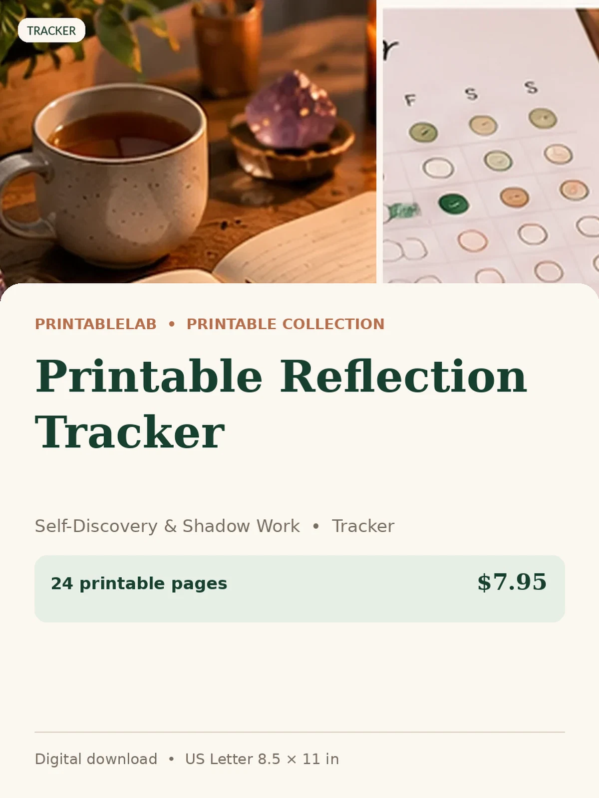 Printable Reflection Tracker preview 1