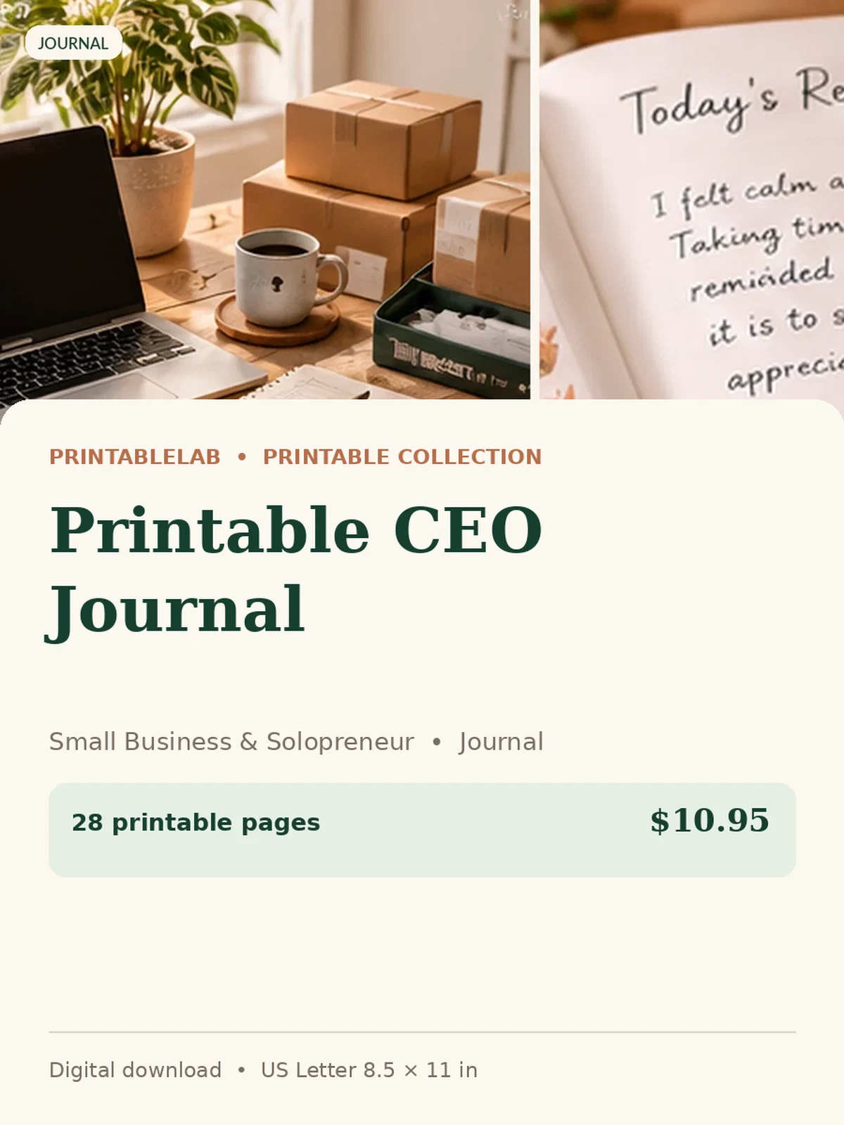 Printable CEO Journal preview 1