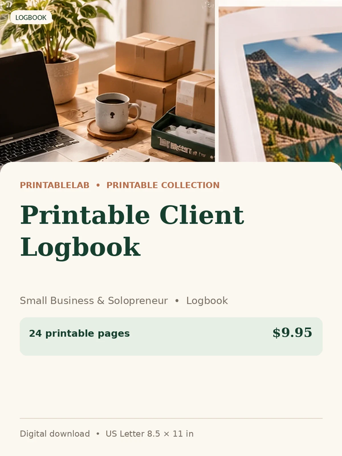 Printable Client Logbook preview 1