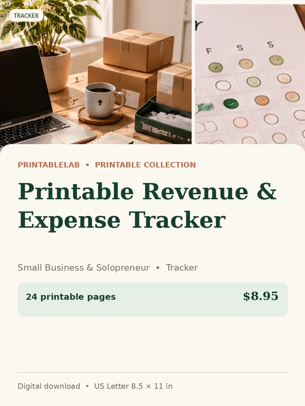 Printable Revenue & Expense Tracker preview 1
