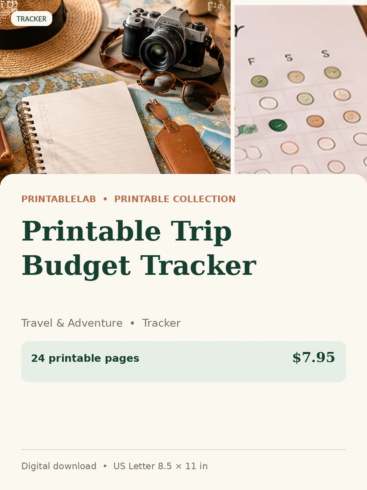 Printable Trip Budget Tracker preview 1