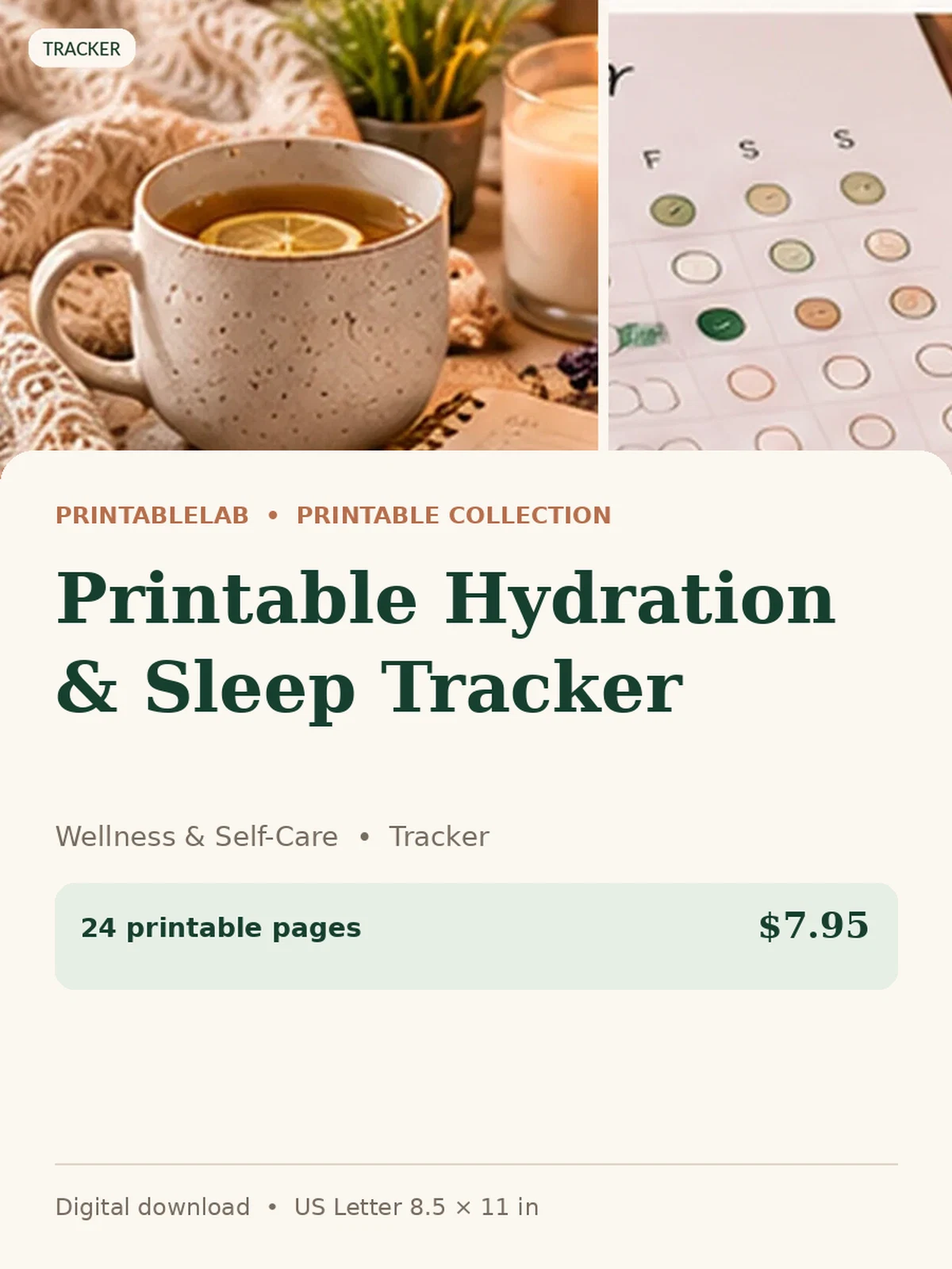Printable Hydration & Sleep Tracker preview 1