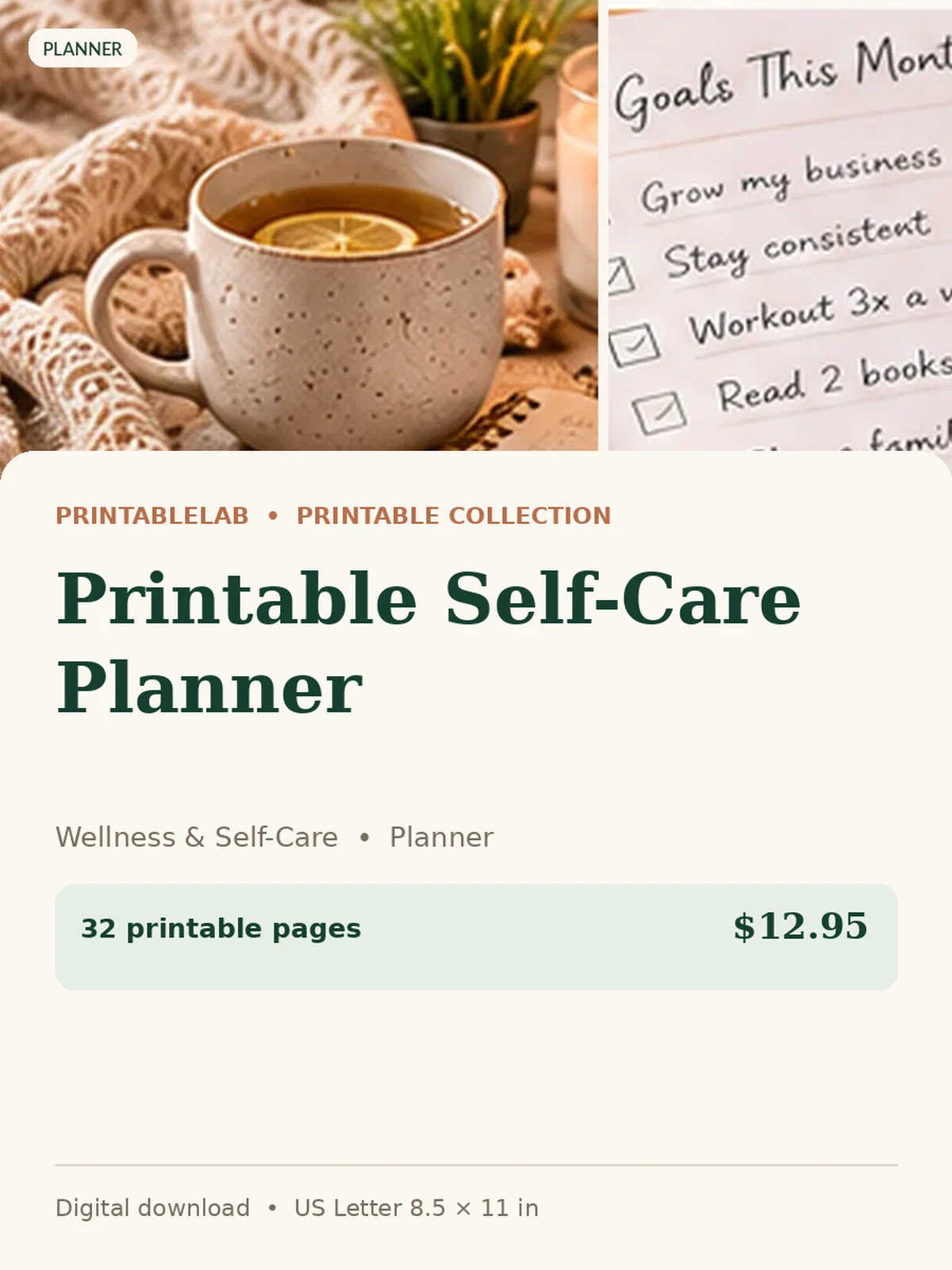 Printable Self-Care Planner preview 1