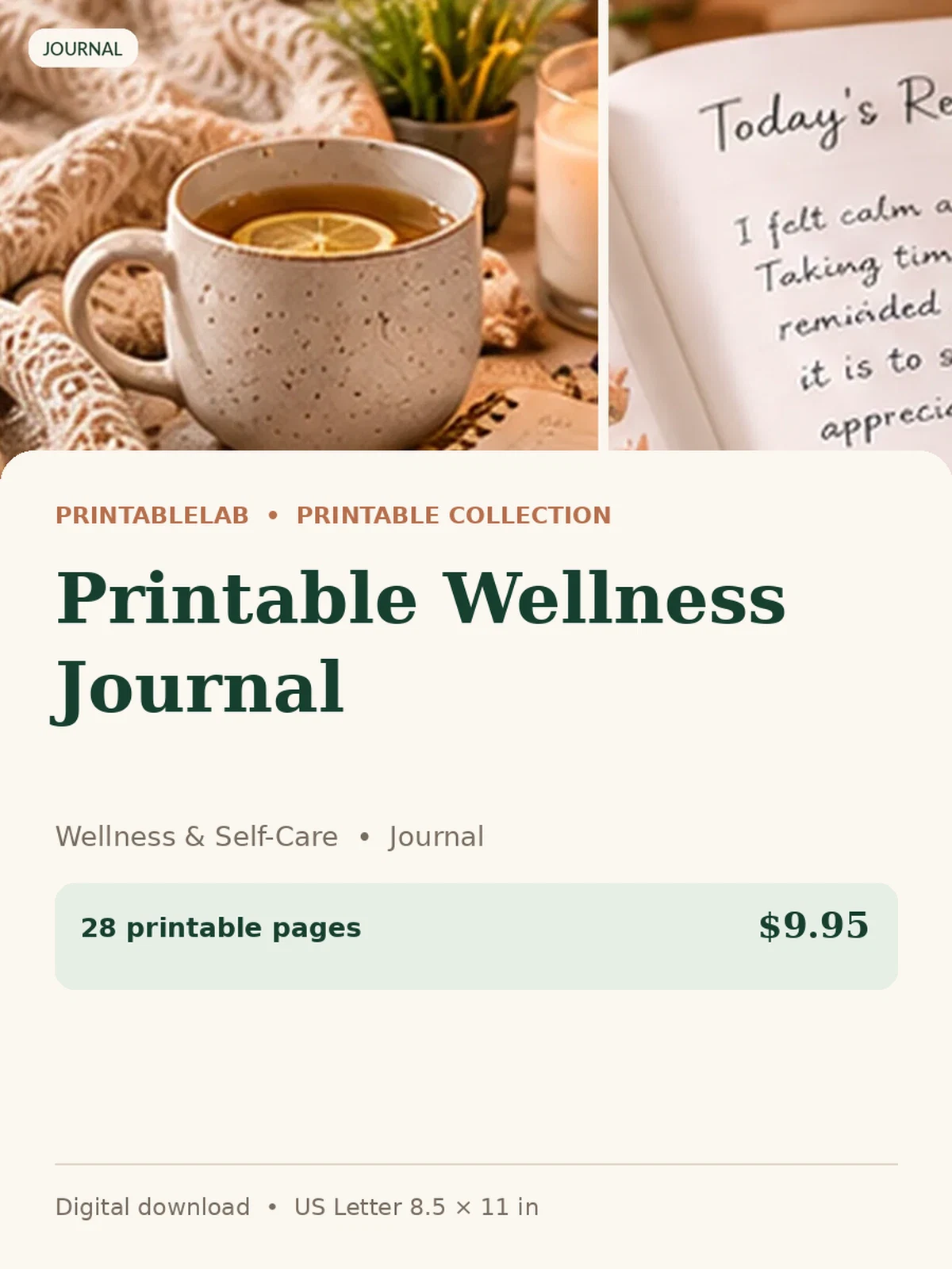 Printable Wellness Journal preview 1