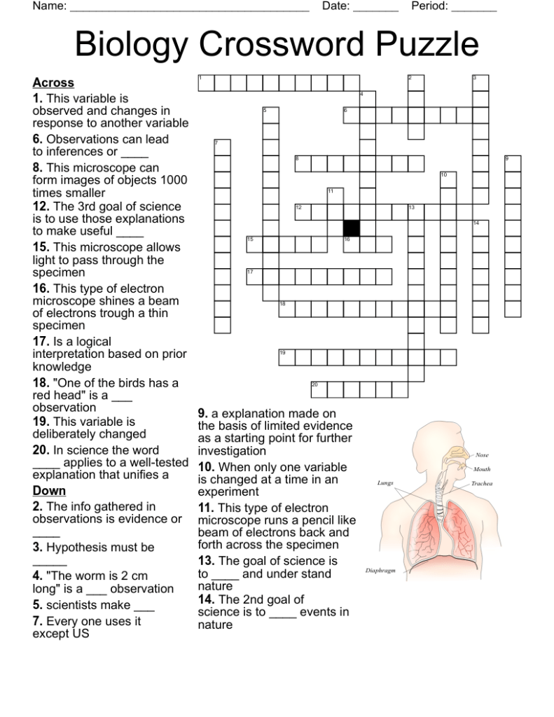 Biology Crossword Puzzle WordMint