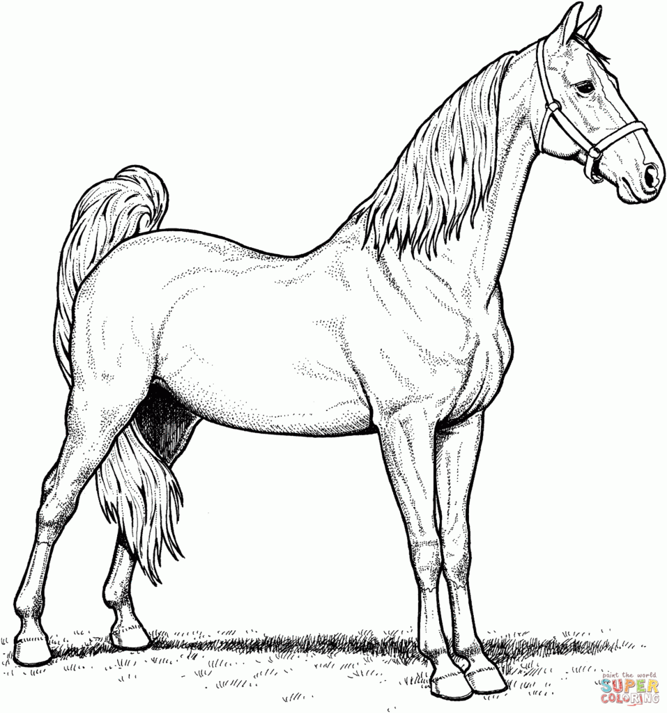 horse coloring pages easy