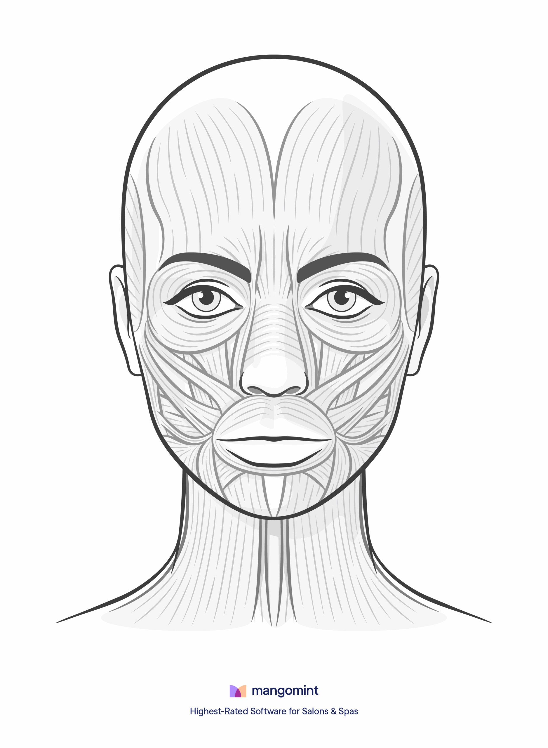 free printable botox face chart